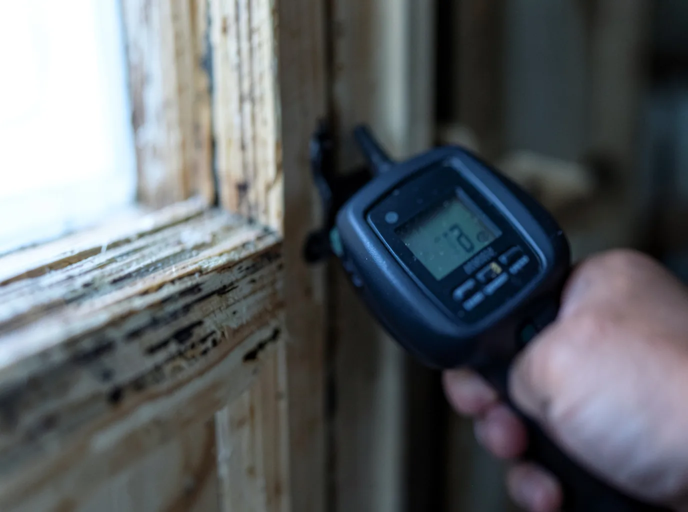 Moisture Inspection And Documentation in Brocton, IL